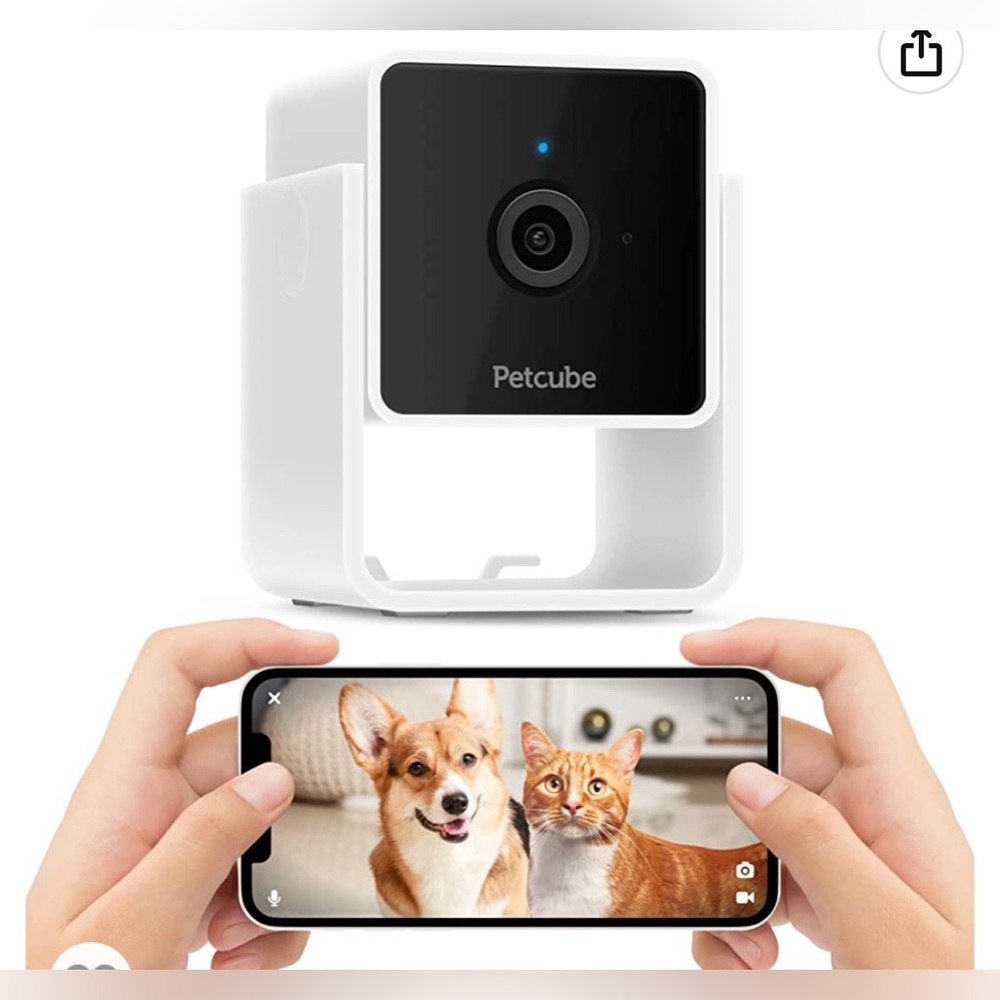 Petcube camera